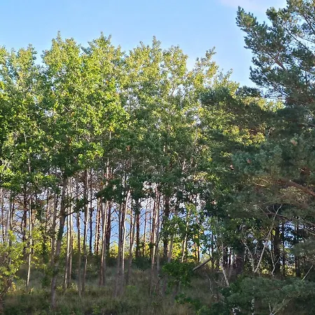 아파트 Meerblick Prora 빈츠