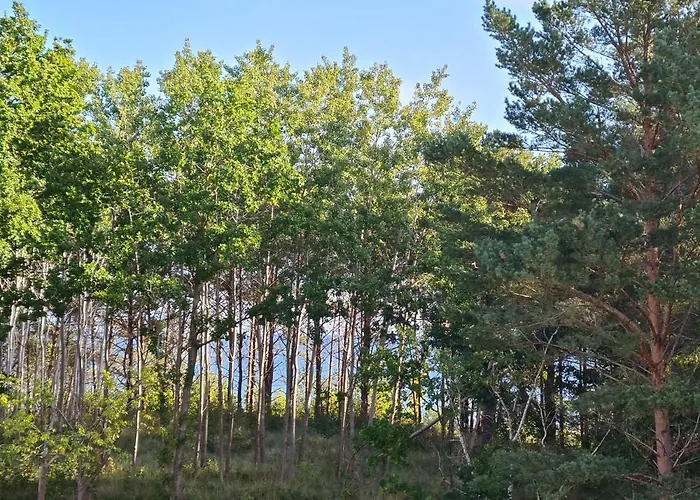 Apartment Meerblick Prora Binz